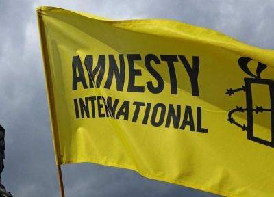 Лиор Хаят - В МИД Израиля назвали Amnesty International антисемитской организацией - СМИ - unn.com.ua - Израиль - Украина - Киев