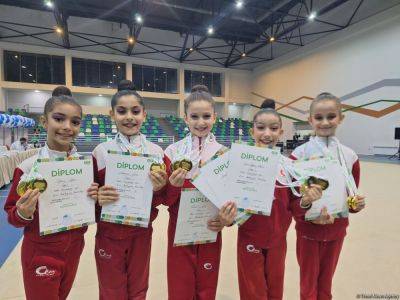 Мы заслужили эти медали – команда в групповых упражнениях, победившая на Первенстве Азербайджана по художественной гимнастике - trend.az - Азербайджан