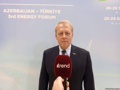 Джавид Абдуллаев - Назван объем инвестиций в строительство новой солнечной электростанции в Нахчыване (Эксклюзив) - trend.az - Турция - Азербайджан - Чехия