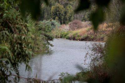 Сточные воды привели к гибели рыб в ручье Сорек - news.israelinfo.co.il - Израиль - Иерусалим