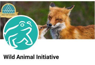 Намерение помочь животным, пострадавшим от мин, достойно похвалы - Wild Animal Initiative - trend.az - Азербайджан