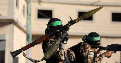 "От 30 до 40 тысяч бойцов": террористы ХАМАС прячутся в большом подземном городе, — эксперт - focus.ua - Израиль - Россия - Украина - Хамас