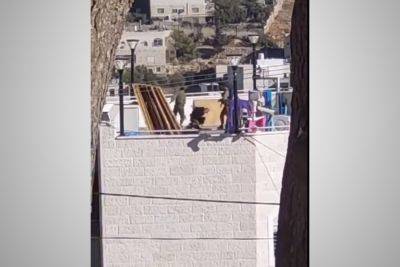Неуставные отношения в Израиле: два бойца ЦАХАЛа подрались на крыше дома в Хевроне. ВИДЕО - 9tv.co.il - Израиль
