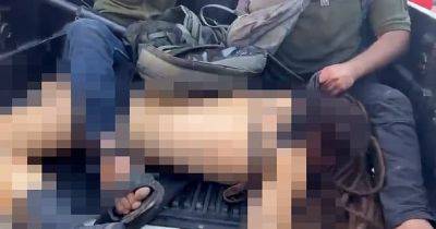 Сектора Газа - Шани Лук - Опознали женщину, которая лежала в пикапе боевиков ХАМАС с вывихнутой ногой (фото) - focus.ua - Израиль - Германия - Украина - Газа