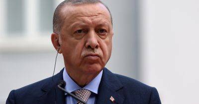 Реджеп Тайип Эрдоган - Эрдоган раскритиковал Блинкена: тот "совершил самую большую ошибку", когда заявил о своем еврейском происхождении - dsnews.ua - Израиль - Тель-Авив - Сша - Украина - Турция - Стамбул - Президент