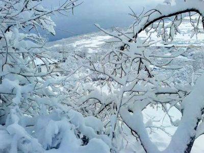 В некоторых районах Азербайджана выпал снег - фактическая погода - trend.az - Азербайджан