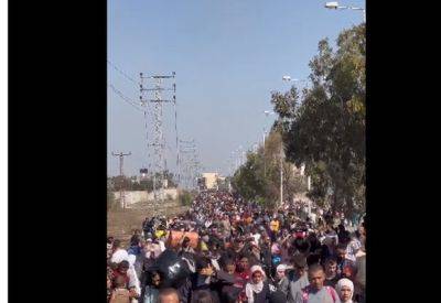Даниэль Хагари - За пятницу на юг Газы ушли 30 тысяч человек - mignews.net