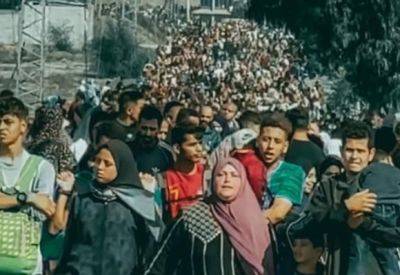 Египет: эвакуация жителей Газы равносильна ликвидации палестинской проблемы - mignews.net - Египет - Каир