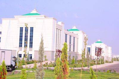 Аркадаг увеличил свою территорию на 119 га - trend.az - Туркмения