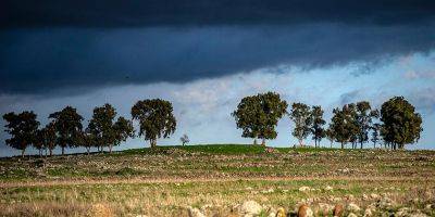 Гиль Элияг - Погода в Израиле: дожди с грозами - detaly.co.il - Израиль - Тель-Авив - Иерусалим
