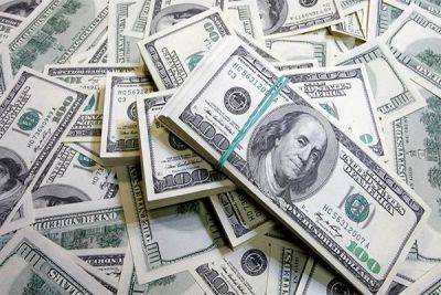 Нацбанк Кыргызстана продал на валютном рынке 655,7 млн долларов - trend.az - Киргизия