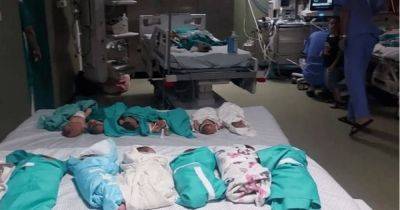 В крупнейшей больнице Газы младенцев греют фольгой из-за нехватки энергии, — Минздрав Палестины - focus.ua - Израиль - Палестина - Украина - Хамас - Из