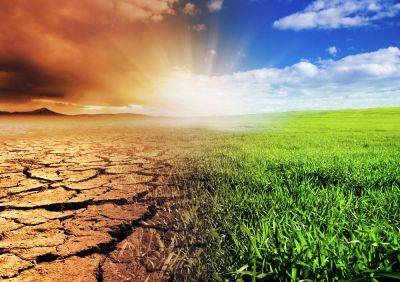Узбекистан примет участие во Всемирном саммите по борьбе с изменением климата - trend.az - Узбекистан