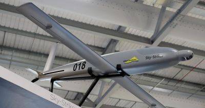 Впервые в мире: Израиль может объединить дроны-камикадзе SkyStriker и РСЗО, — Janes - focus.ua - Израиль - Украина - Англия - Таиланд - Тайвань