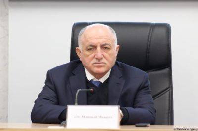 Мамед Мусаев - МСП играют основную роль в формировании цепочки добавленной стоимости в Азербайджане - Мамед Мусаев - trend.az - Азербайджан - Президент