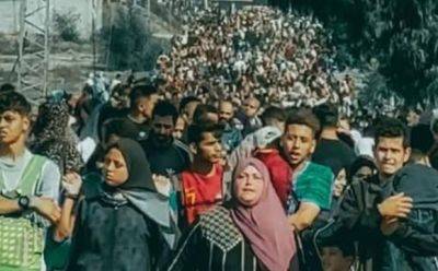 Дани Данон - Бецалель Смотрич - Рам Бен-Барак - Арабы возмущены призывом к палестинцам о добровольной эмиграции из Газы - mignews.net - Израиль - Египет - Из