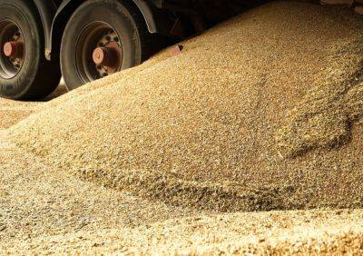 Экспорт зерна из Украины – почему валюта от продаж оседает за границей – детали схемы - apostrophe.ua - Украина