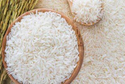 Производство риса сократилось в Казахстане на 10% - trend.az - Россия - Таджикистан - Казахстан - Узбекистан - Кызылординская обл.