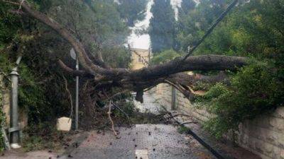 Буря в Израиле: деревья и краны падают, электричество отключается, дороги опасны - vesty.co.il - Израиль - Тель-Авив - Иерусалим