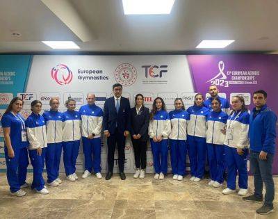 Фарид Гайыбов - Фарид Гайыбов встретился с азербайджанской делегацией, участвовавшей в чемпионате Европы по аэробной гимнастике в Анталье - trend.az - Турция - Азербайджан - Президент - Европы