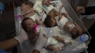 В Египет доставили недоношенных младенцев из сектора Газа - ru.euronews.com - Израиль - Египет - Турция - Анкара - Из