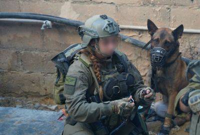 Четыре боевых собаки ЦАХАЛ погибли в ходе войны в Газе - nashe.orbita.co.il