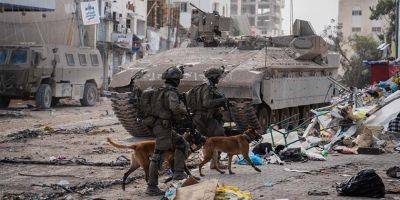 Так служебные собаки ЦАХАЛа находят взрывчатку и оружие в секторе Газа - detaly.co.il