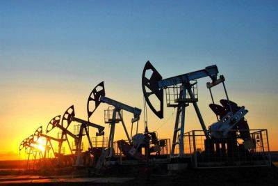 Добыча нефти в Казахстане значительно сократилась - trend.az - Казахстан