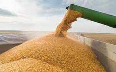 РФ вывозит украинское зерно в Сирию и Иран - mignews.net - Россия - Иран - Сирия - Украина - республика Крым
