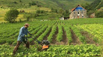 В Азербайджане доходы юрлиц, занимающихся производством сельхозпродукции, освобождены от налогов еще на 3 года - trend.az - Азербайджан