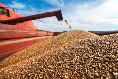 В Казахстане выдано разрешение на транзитные перевозки пшеницы - trend.az - Казахстан