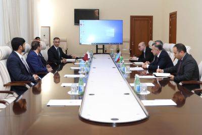 Теймур Мусаев - В минздраве Азербайджана состоялась встреча с руководителями ряда ведущих международных компаний в сфере медицины - trend.az - Катар - Австрия - Азербайджан