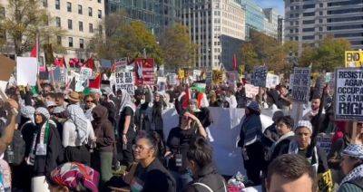 Пропалестинский шабаш в Вашингтоне: призывают к интифаде - mignews.net - Израиль - Палестина - Вашингтон - Washington - Вашингтон