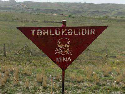 Подорвавшемуся на мине в Тертере ампутировали правую стопу - trend.az - Азербайджан - район Тертерский