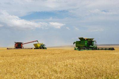 Казахстан увеличит поставки зерна в Китай до 1 млн тонн в год - trend.az - Китай - Казахстан