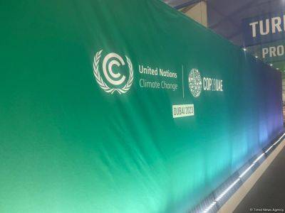 Азербайджан - Азербайджан в центре внимания на COP28 - почему «зеленые» проекты страны так важны? (ФОТО) - trend.az - Эмираты - Азербайджан