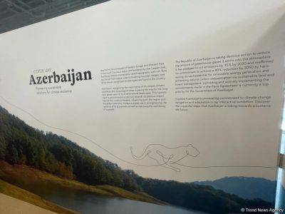 Азербайджан впервые представлен павильоном на COP28 (ФОТОРЕПОРТАЖ) - trend.az - Эмираты - Азербайджан