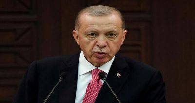Тайип Эрдоган - Турция заявила о готовности принять любую ответственность для урегулирования в Газе - dialog.tj - Израиль - Турция