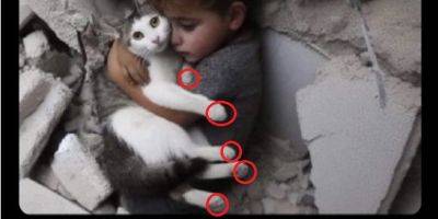 Пропагандисты ХАМАСа нарисовали пятиногую кошку - detaly.co.il