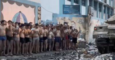 Даниэль Хагари - Бросают оружие и раздеваются: в Газе состоялась массовая сдача в плен боевиков ХАМАС (видео) - focus.ua - Израиль - Украина - Хамас
