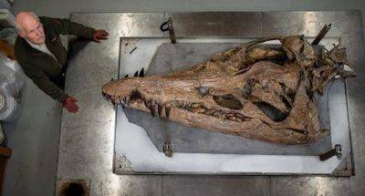 В Англии нашли гигантский череп плиозавра - mignews.net - Англия