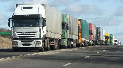 Названо количество грузовых автомобилей, ожидающих проезда на таможенных постах Азербайджана - trend.az - Азербайджан