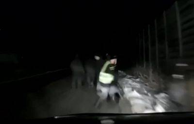 На Камчатке военный сбил группу срочников: видео - mignews.net