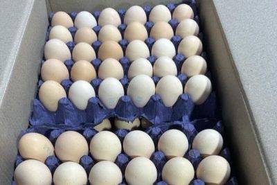 Из Азербайджана в Россию отправлено 36 тонн яиц (ФОТО) - trend.az - Россия - Азербайджан - Из