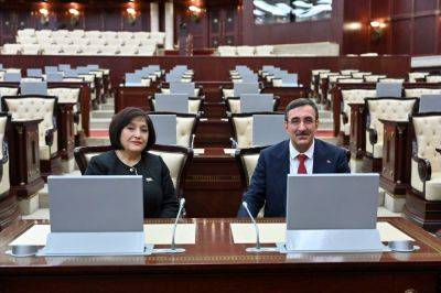 Сахиба Гафарова - Спикер парламента Азербайджана встретилась с вице-президентом Турции (ФОТО) - trend.az - Турция - Азербайджан