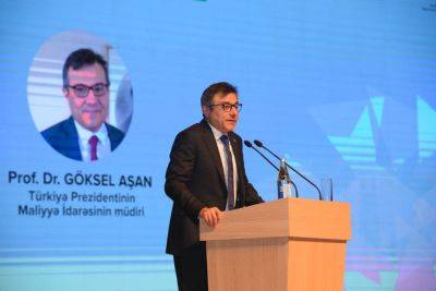 Турецкие бизнесмены видят в Азербайджане уникальные возможности для развития - Гоксель Ашан - trend.az - Турция - Азербайджан - Президент