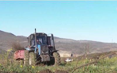 На очищенных от сепаратистов территориях Азербайджана начался процесс озеленения (ВИДЕО) - trend.az - Азербайджан - район Ходжавендский
