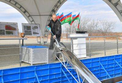 Ильхам Алиев - Алиев - Президент Ильхам Алиев принял участие в церемонии закладки фундамента села Баш Гарвенд Агдамского района (ВИДЕО) - trend.az - Азербайджан - район Агдамский - Президент