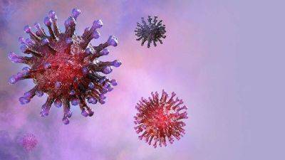 Почему возник коронавирус? Самые распространенные теории - koronavirus.center - Израиль - Китай - Австралия - Испания - Ухань