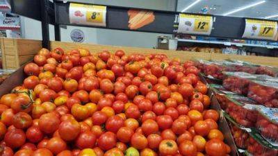 Ниру Баркату - Эяль Равид - Израилю угрожает дефицит помидоров: цены уже растут - vesty.co.il - Израиль